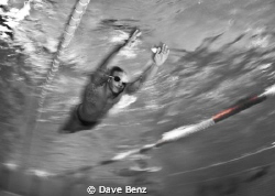 I´ve taken this picture during a training competition of ... by Dave Benz 
